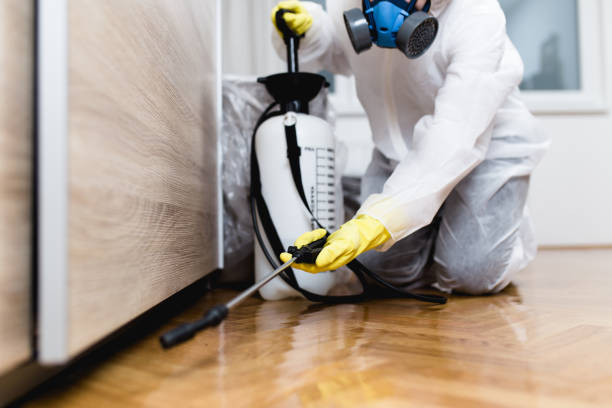 Reliable Stokesdale, NC Pest Control Solutions