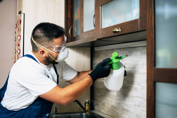 Pest Control Cost in Stokesdale, NC