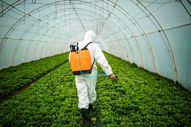 Best Mosquito Control Services  in Stokesdale, NC