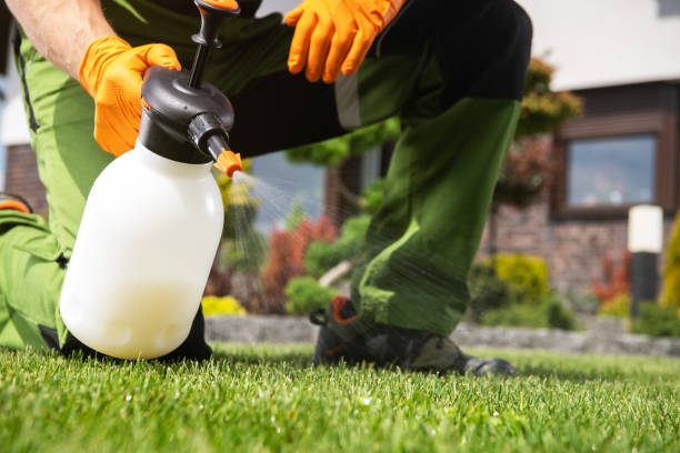 Best Pest Prevention Services  in Stokesdale, NC