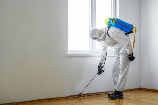Best Pest Control for Restaurants  in Stokesdale, NC