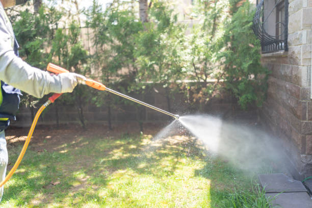 Best Affordable Pest Control Services  in Stokesdale, NC