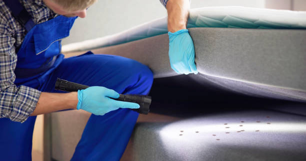 Pest Control Cost in Stokesdale, NC