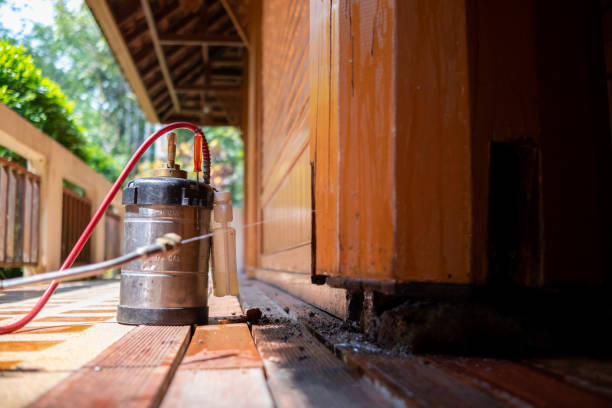 Best Wasp Removal Services  in Stokesdale, NC