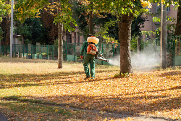 Best Rodent Control Near Me  in Stokesdale, NC