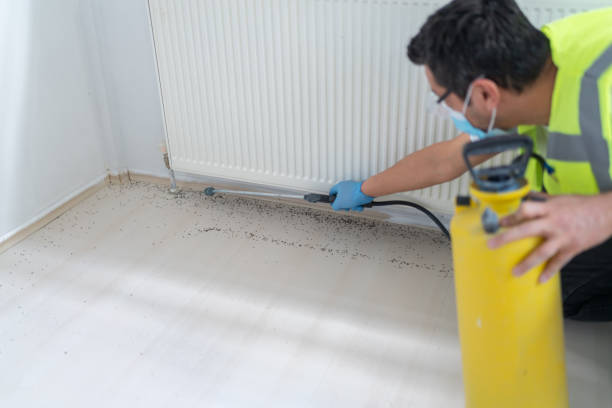 Best Affordable Exterminators  in Stokesdale, NC
