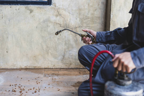 Professional Pest Control in Stokesdale, NC